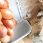 Ancien porte ustensiles de cuisine en tôle émaillée 3 Ancien porte ustensiles de cuisine en tôle émaillée