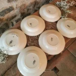 Assiettes creuses Digoin Sarreguemines petites fleurs
