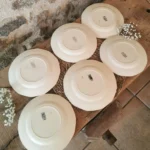 Assiettes plates Digoin Sarreguemines petites fleurs