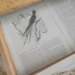 Bureau vintage patiné et sa chaise Luterma