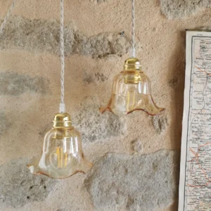 Duo de Lampes Baladeuses Vintage, Tulipe verre fumé