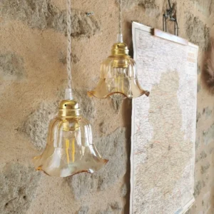 Duo de Lampes Baladeuses Vintage, Tulipe verre fumé