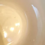 Soupière Digoin Sarreguemines petites fleurs